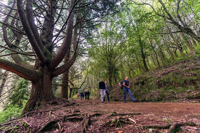Caldeirão Verde Levadas Walk in Madeira - Duration, distance, and your fitness check