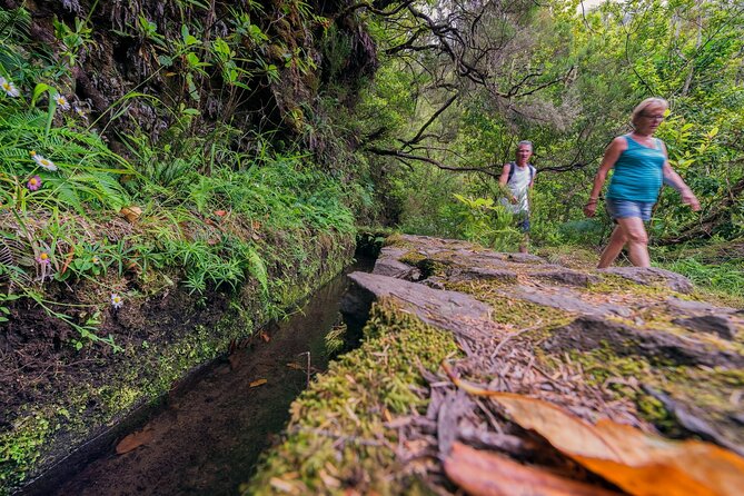 Caldeirão Verde Levadas Walk in Madeira - Comfort checklist: shoes, water, and the torch you’ll be glad you brought