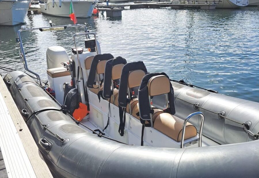 Calheta: Whale & dolphin watching small groups designer tour - Calheta in 150 minutes: why this speedboat format feels right