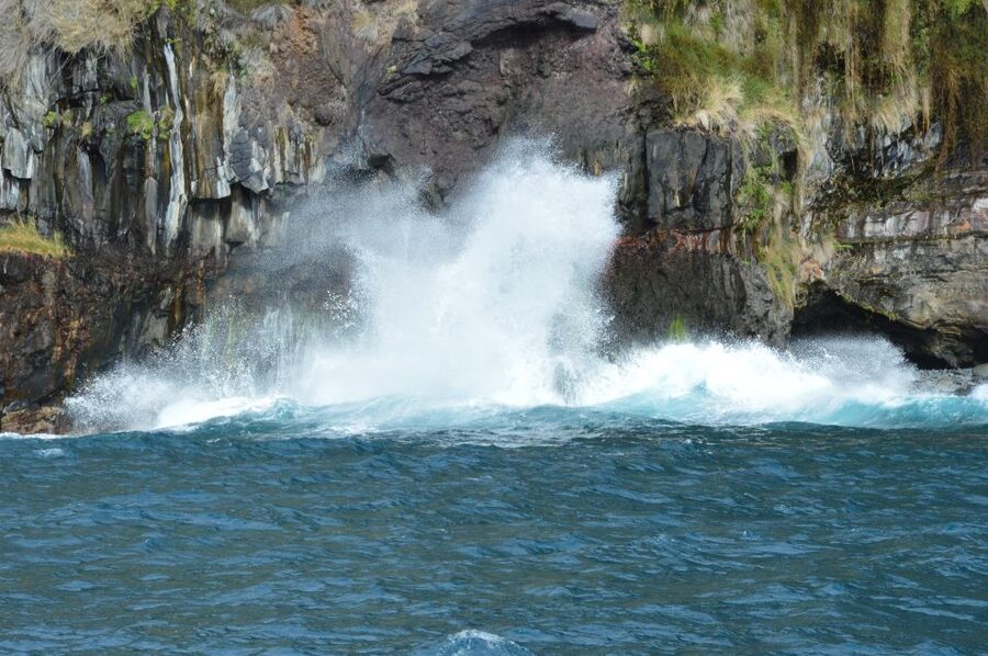 Calheta: Whale & dolphin watching small groups designer tour - Finding On Tales at Marina da Calheta (without stress)
