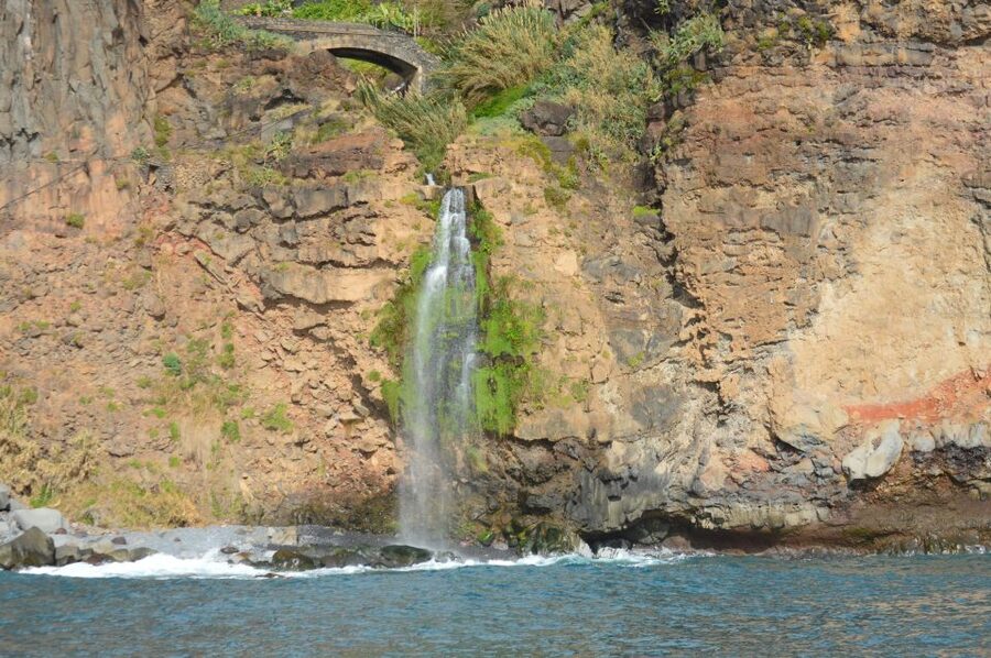 Calheta: Whale & dolphin watching small groups designer tour - The photo moment that doesn’t feel like an afterthought