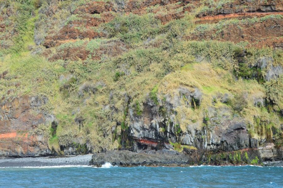 Calheta: Whale & dolphin watching small groups designer tour - What’s included (and what you must plan for)