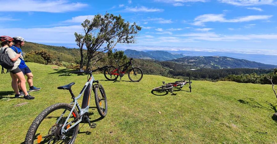 Camacha: Levada Trail e-Bike Guided Tour - Key things I’d bet you’ll care about