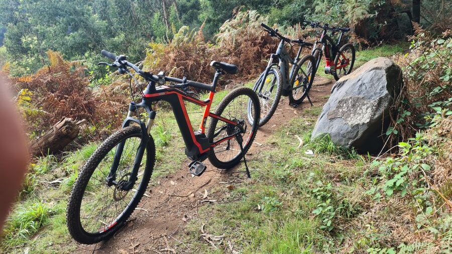 Camacha: Levada Trail e-Bike Guided Tour - Camacha’s Levada Trail: Why the forest ride feels so Madeira