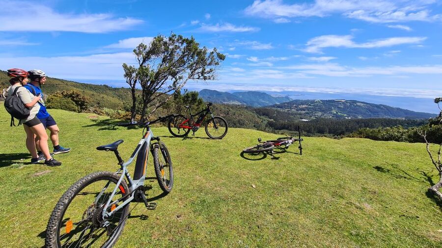 Camacha: Levada Trail e-Bike Guided Tour - Camacha start: fields, flowers, and the first levada moments
