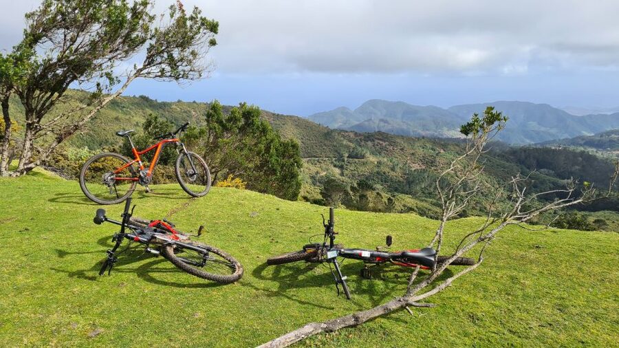Camacha: Levada Trail e-Bike Guided Tour - Electric bike reality check: what “easy” really means here