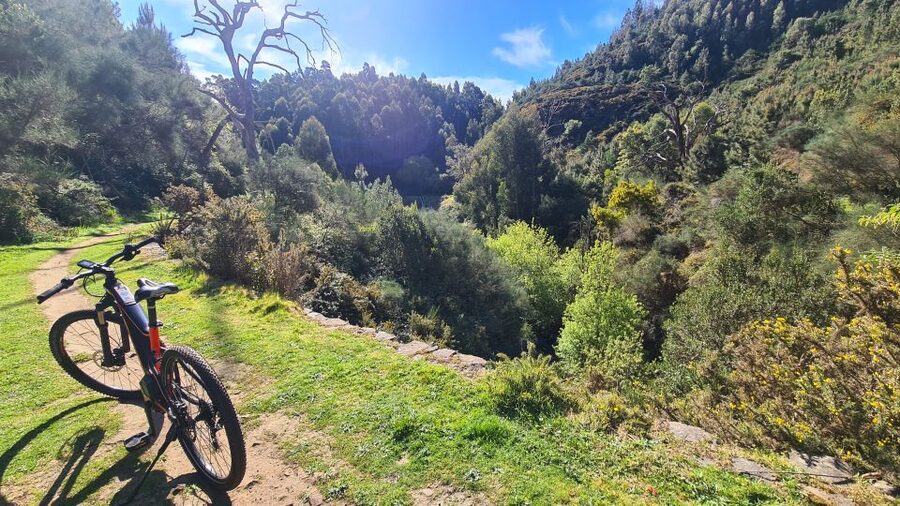 Camacha: Levada Trail e-Bike Guided Tour - Price and value: is $82 a fair deal?