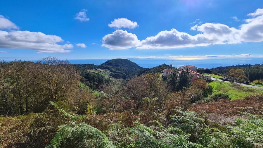 Camacha: Levada Trail e-Bike Guided Tour - Getting there: pickup across Madeira’s south and east coasts