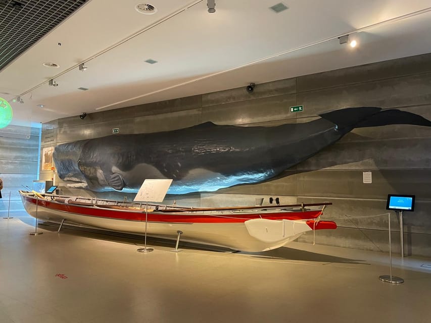 Caniçal : Madeira Whale Museum Entry ticket - Price and value: why $11 can feel like a bargain