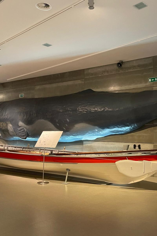 Caniçal : Madeira Whale Museum Entry ticket - Ethnographic collection and Madeira’s whaling story