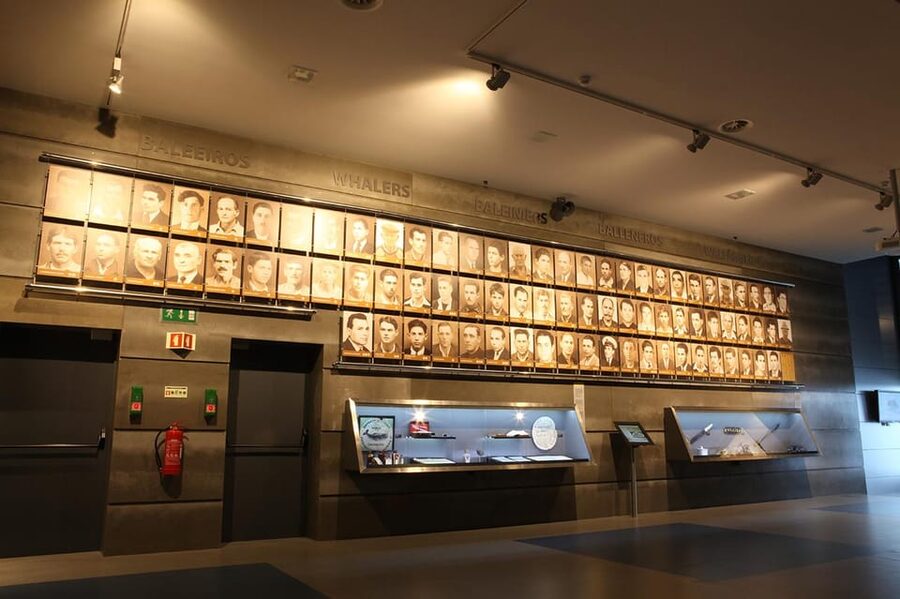 Caniçal : Madeira Whale Museum Entry ticket - Temporary exhibitions: the built-in reason to return