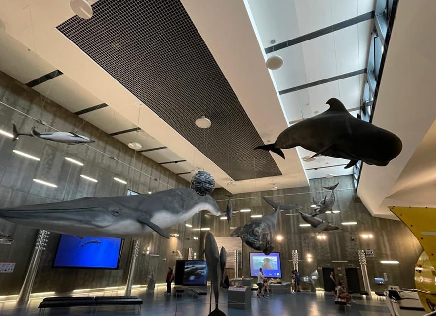 Caniçal : Madeira Whale Museum Entry ticket - What the ticket includes (and why that’s good value)