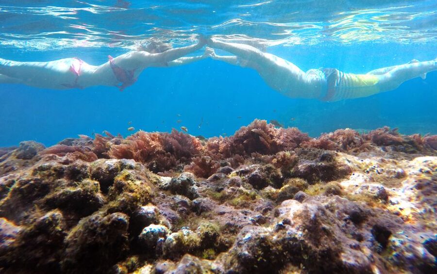 Caniço, Madeira: Marine Reserve Kayak & Snorkelling Tour - Kayak & snorkel out of Caniço: the shortcut to Madeira’s sea life