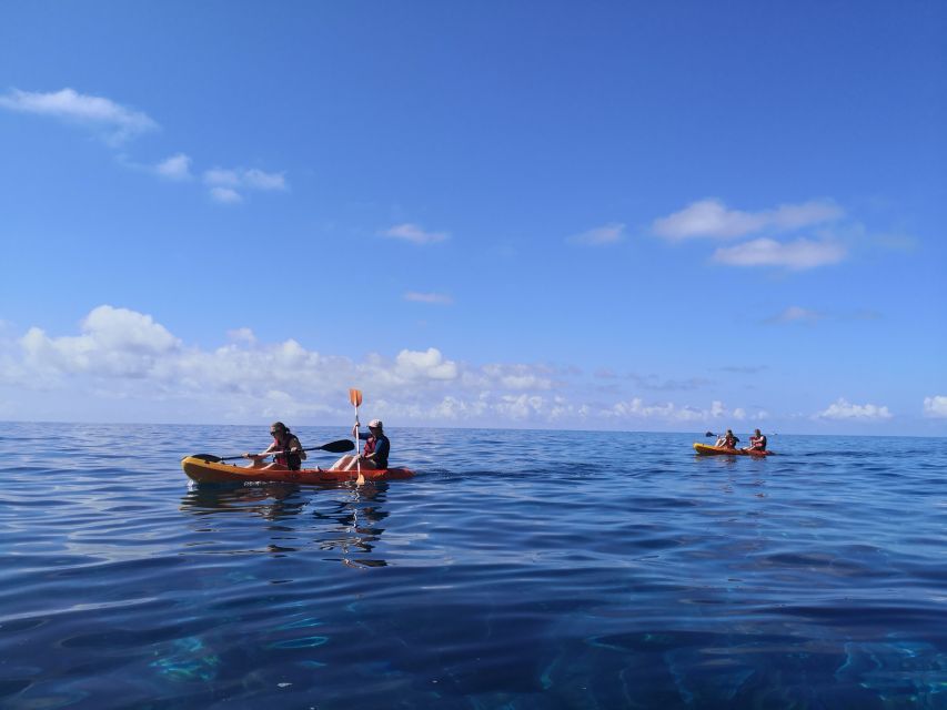 Caniço, Madeira: Marine Reserve Kayak & Snorkelling Tour - Weather dependence: the “call it on the day” reality