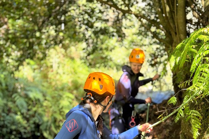 Canyoning at Camacha Madeira Island - Price and value: what $82.84 buys on Madeira