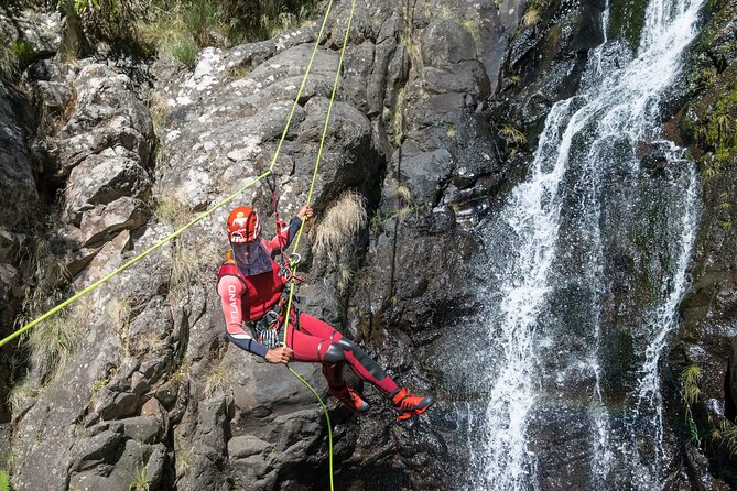 Canyoning in Madeira: Ideal for Beginners and Families - The Real Canyoning Moment: Swims, Jumps, and Rappels