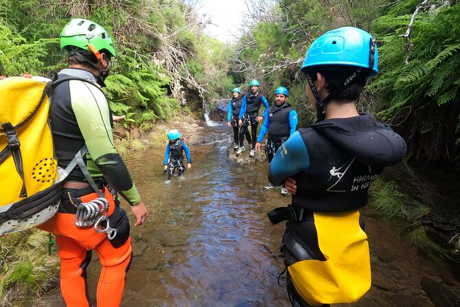 Canyoning in Madeira Island- Level 1 - Price and what you get for $78.60