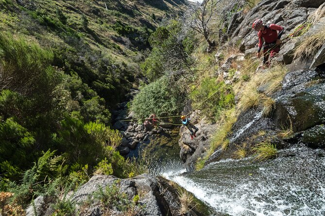 Canyoning in Madeira: Ribeira das Cales - Funchal Ecological Park - Inside the canyon: your ~2-hour guided adventure