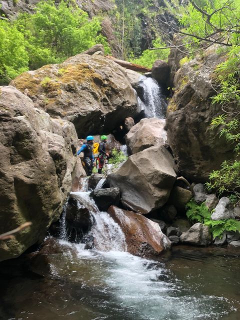 Canyoning Level 2 - Ribeira do Cidrão- Madeira Island - Key highlights that make this one worth your time