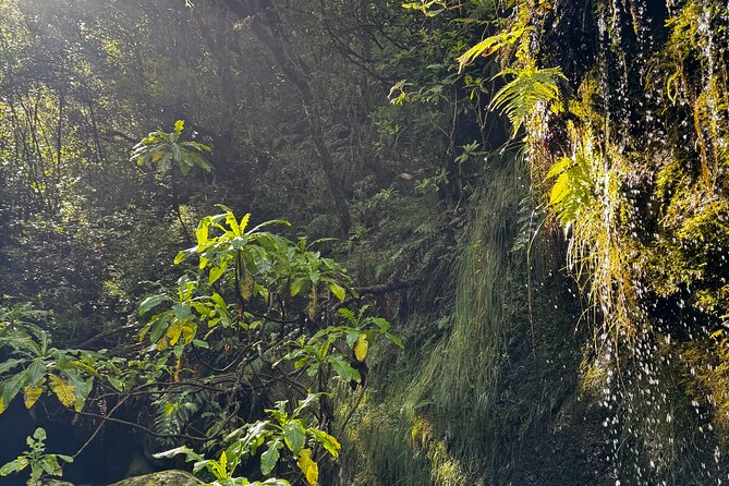 Canyoning Madeira Intermediate - A 5-hour intermediate canyoning day with morning energy