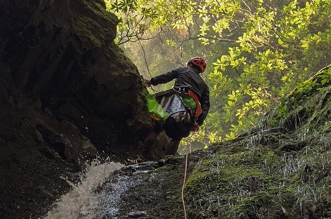 Canyoning Madeira Intermediate - Safety and coaching: where this tour earns its 5-star rating