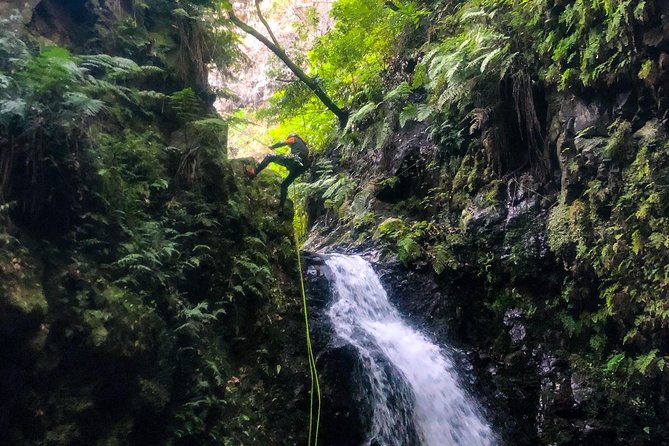Canyoning Madeira Island - Level Two - Madeira Level Two Canyoning: What You’re Signing Up For