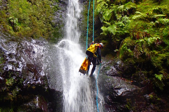 Canyoning Madeira Island - Level Two - The Main Event: Waterfall Abseils and Natural Pools