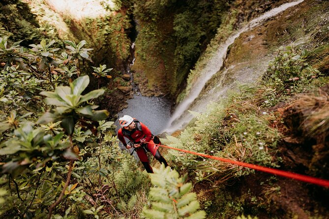 Canyoning Madeira Premium Advanced - Inside the canyon: waterfalls, rappels, and pool crossings