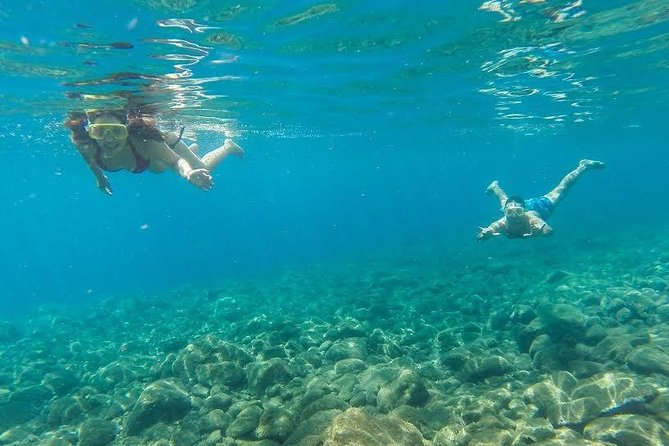 Catamaran Day Cruise to Desertas Islands from Funchal - Desertas Islands landing: what you do once you’re on virgin beach