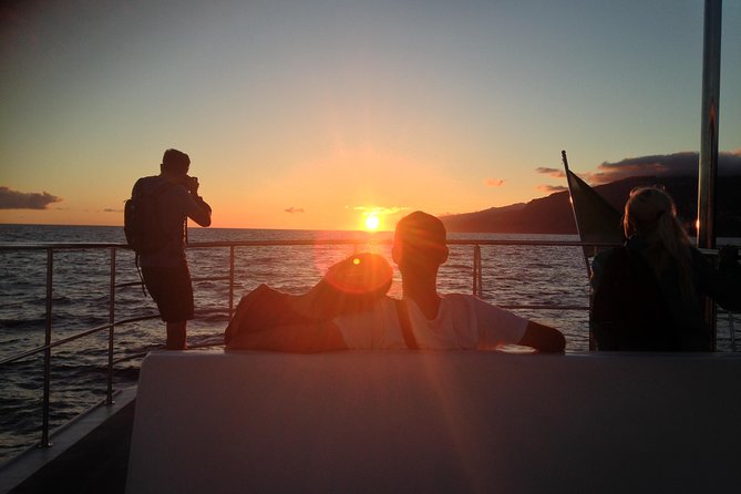 Catamaran Sunset Cruise from Funchal - A 3-hour catamaran sunset built around the light
