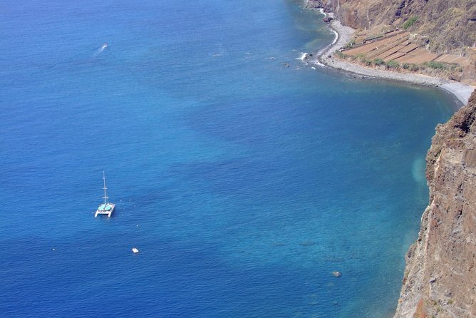 Catamaran Sunset Cruise from Funchal - Wildlife odds: dolphins and whales depend on the sea