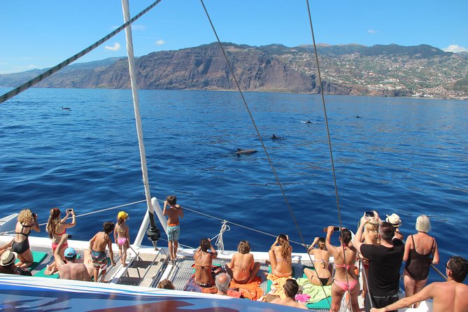 Catamaran Sunset Cruise from Funchal - What you get for the price (and how it compares in real life)