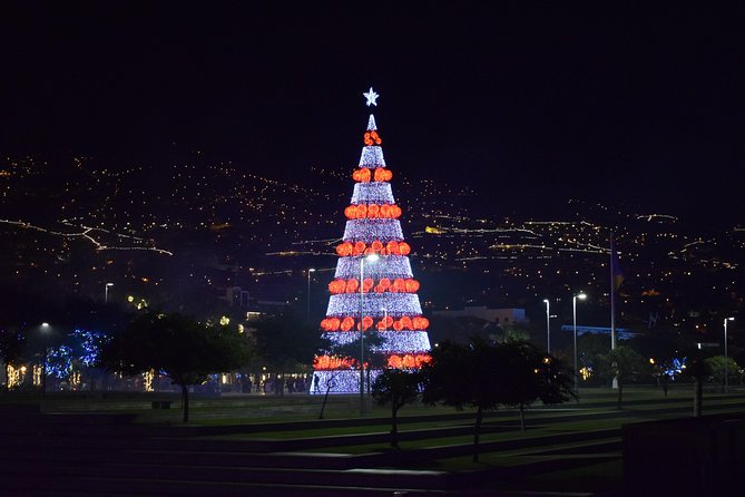 Christmas Lights Tukxi Tour (price per tukxi - up to 5 people) - The route through the main avenues: Infante Dom Henrique first