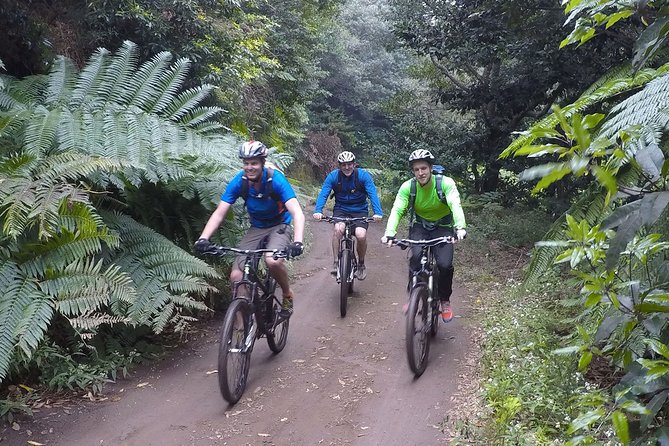 Cross Country - Moutain Bike Tour - The Bikes, Helmet, and Safety Gear You Actually Use