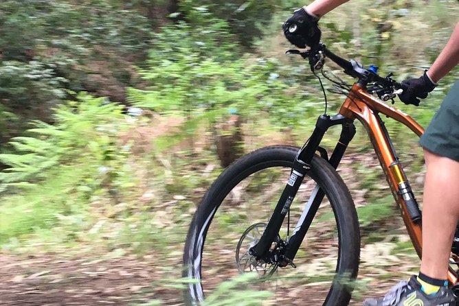 Cross Country - Moutain Bike Tour - Stop 1: Laurissilva Forest Cross-Country Riding With Endemic Flora