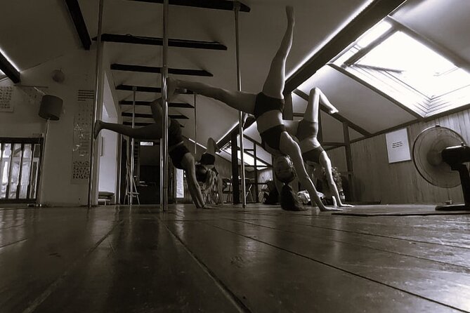 Dance Class (choose 1: Pole Dance, Burlesque or Aerial Silk/Hoop) - How the Teachers Keep It Friendly (and Actually Learnable)