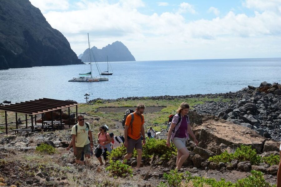 Desertas Islands Full-Day Catamaran Trip from Funchal - Sailing past Madeira’s south coast: scenery plus possible wildlife