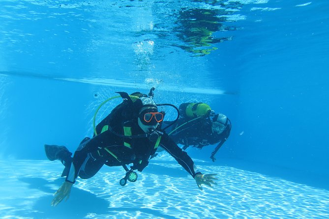 Discover Scuba Diving or Try dive - Where this happens: Caniçal, Madeira, close to Funchal
