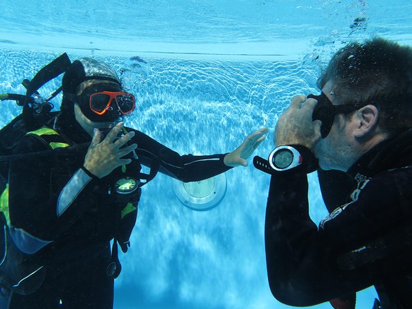Discover Scuba Diving or Try dive - Marine life in shallow water: what you’re likely to see