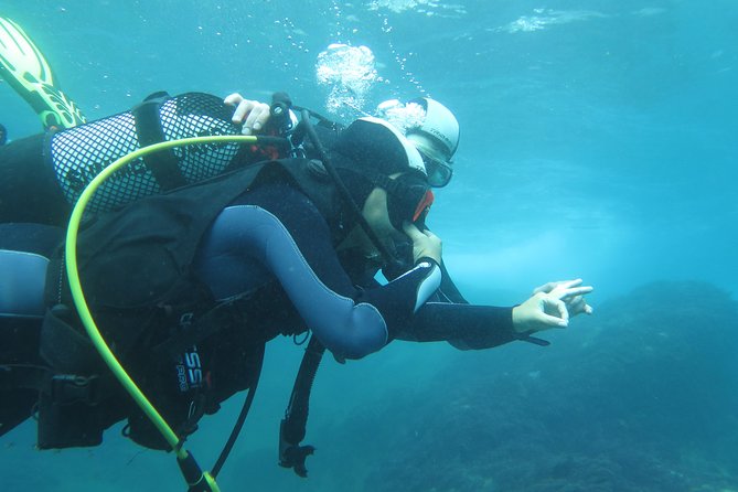 Discover Scuba Diving or Try dive - Price and value: what $86.88 buys you in Madeira