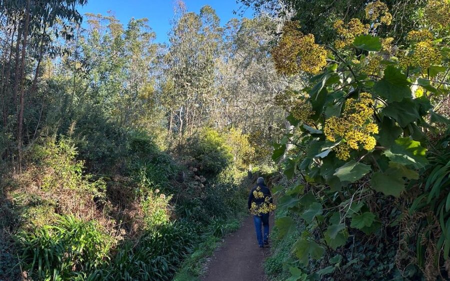 Discover the Paradise Valley - a quick escape for Everyone - Key things I’d plan around