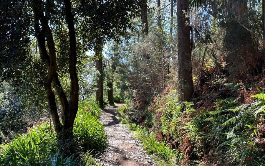 Discover the Paradise Valley - a quick escape for Everyone - The Camacha views: a satisfying payoff without a big effort
