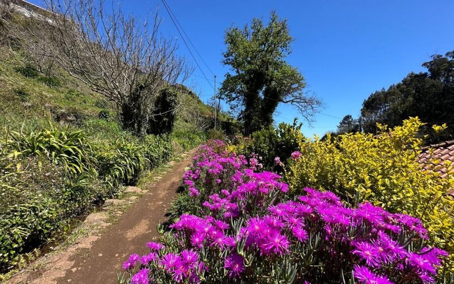 Discover the Paradise Valley - a quick escape for Everyone - What the guide adds (and why Leo gets mentioned)