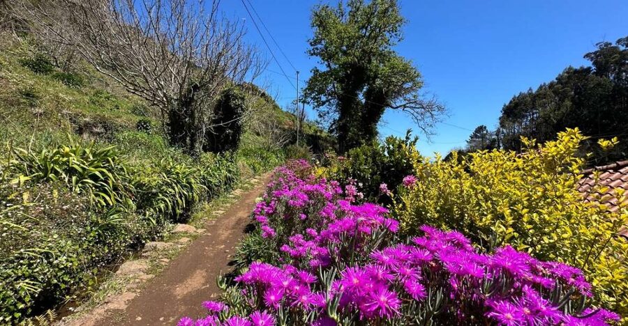 Discover the Paradise Valley - a quick escape for Everyone - Is this for you? Who the Paradise Valley walk matches best