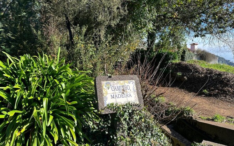 Discover the Paradise Valley - a quick escape for Everyone - Pickup and the drive to Camacha: how the tour starts smoothly