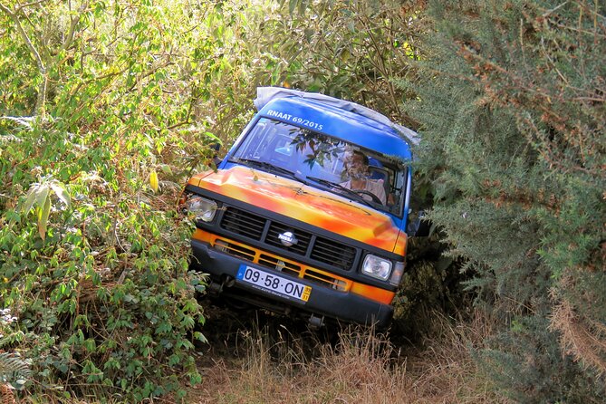 Discovering Northwest Madiera Shore Excursion w/ Harbour pickup - Price and value: is $81.66 a good deal?
