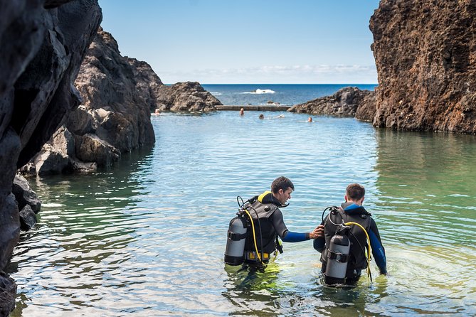 Diving in the Madeira Aquarium - Key things to know before you go