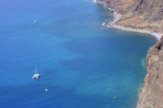 Dolphin and Whale Watching Catamaran Cruise from Funchal - Who This Catamaran Cruise Fits Best (and Who Might Want Something Else)