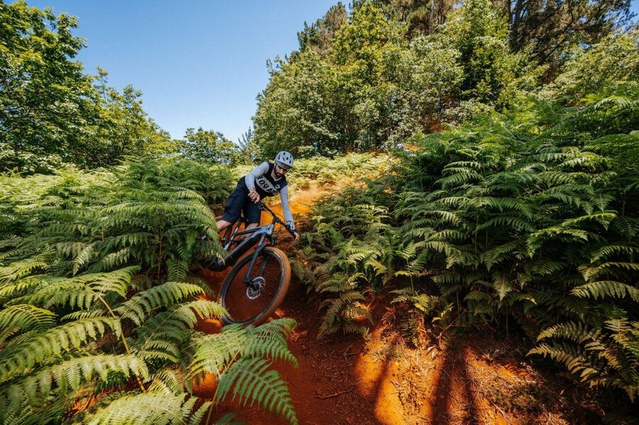 E-Bike Guided Tour - Belle Vue Mountain Biking - What to bring so the ride stays fun
