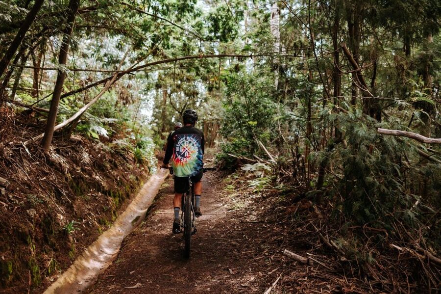E-Bike Guided Tour - West Side Mountain Biking - Calheta riding: the guided block for your skill level